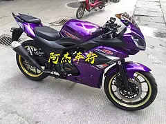 巡航舰、骑士车、公路赛、跑车、太子车、小绵羊、迅鹰