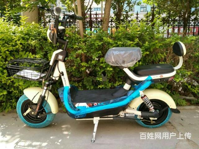 潍坊龙祥车业 名牌木兰,雷玛电动车