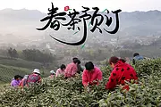 二十四节气--雨水 我们在安吉等着您