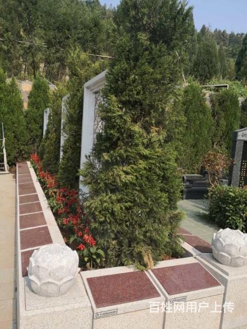 沈阳西郊卧龙公墓官网_西郊卧龙公墓简介