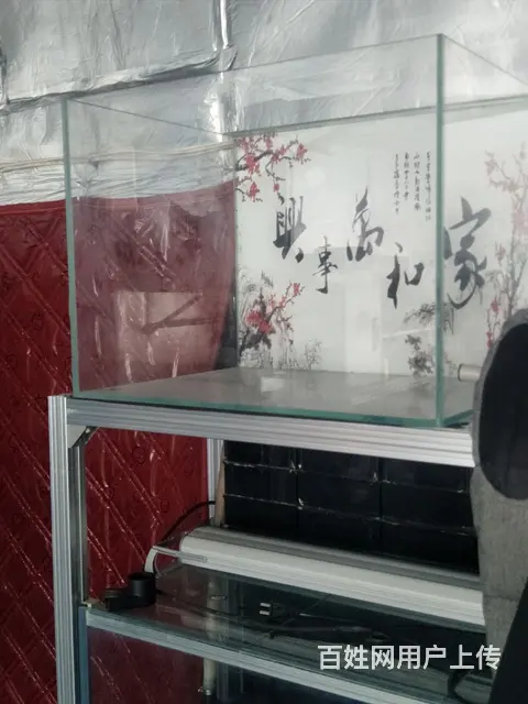 【搞定了！】出售超白缸的图片