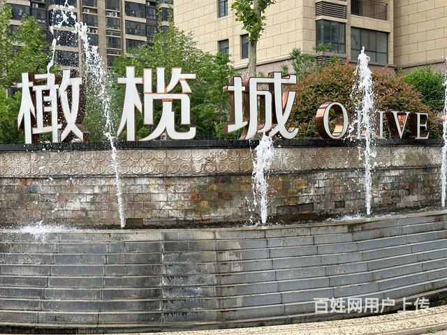 橄榄城电梯双气南北通透中层急售的图片