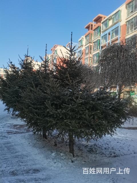 北河新村房屋出租的图片