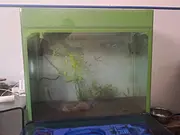 鱼缸出售
