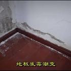 无锡新区卫生间防水卫生间门口两侧墙面反潮值得信赖