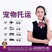 黄石宠物托运猫狗活体邮寄运输服务