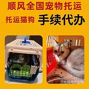 毕节织金宠物托运（猫狗）活体邮寄快递（2022宠物运输 ）今