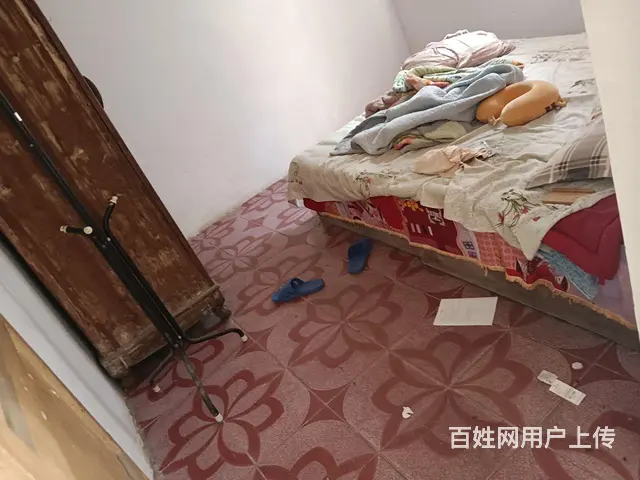 3w小庄平房带院的图片