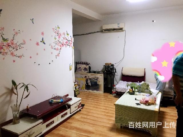 海圣春天小户型急售的图片
