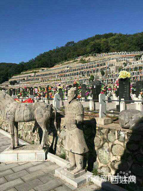 抚顺真山真水墓园 抚顺坤龙墓园 看墓免费接送