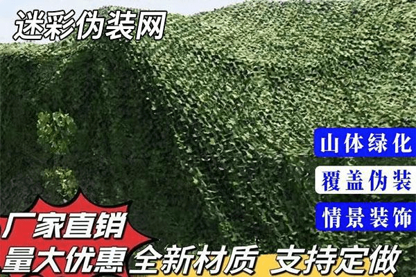 伪装网