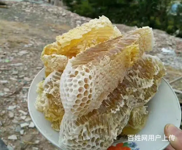 出售蜂蜜和正窝蜜蜂的图片