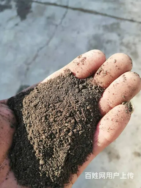 猪粪发酵有机肥的图片