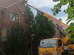 高空作业车出租路灯车出租电话