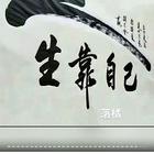 两只宠物猫出售