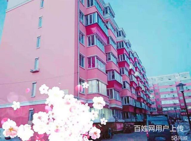 兴安台兴东小区男子单身合租公寓的图片
