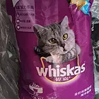 猫粮