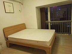 南山区南油南海大厦两房一厅出租