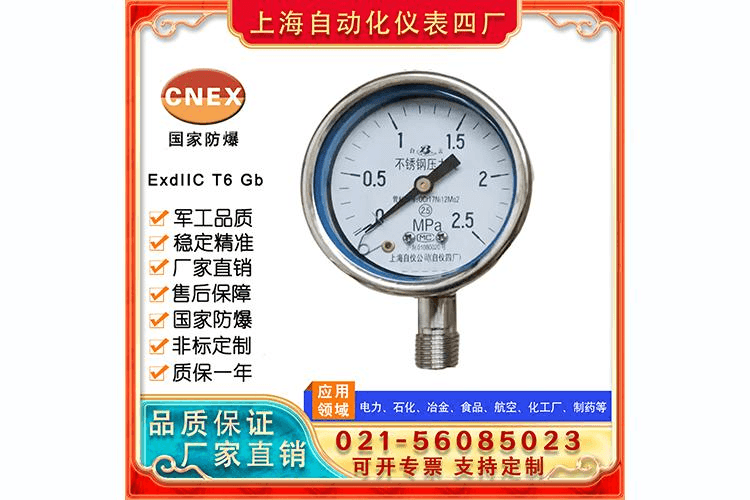 Y60BF不锈钢压力表