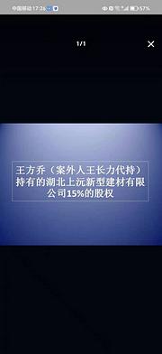 湖北上沅新型建材有限公司15%的股权