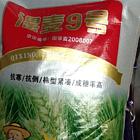 定西附近的大麦种子种子价格