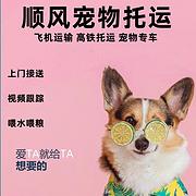 周口扶沟宠物托运（猫狗）邮寄速运空运 （2023今日 推荐运