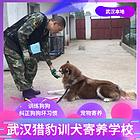 武汉训犬,训练狗狗,纠正狗狗坏习惯.