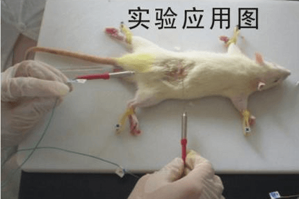 超微型插入式温度探头
