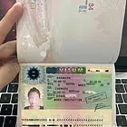苏州赴-瑞典打工新西兰招普工技术工诚招代理返利丰厚