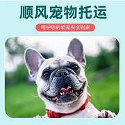 镇平宠物托运（猫咪狗狗）（承接活体运输邮寄）代办检疫证 上门