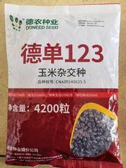 德单123玉米种