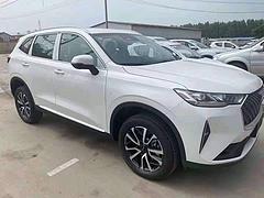 哈弗H6 2020款 1.5GDIT 双离合 铂金豪华版