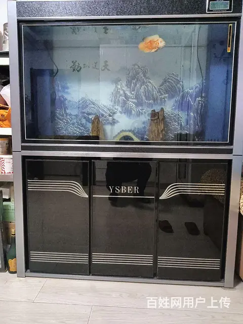 【搞定了！】水族箱的图片