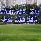 长治新的早熟禾草籽价格