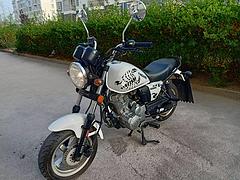 2019银钢150小猴子。有手续