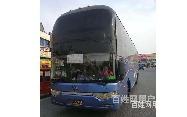临沧宠物托运速运24小时内送达全国连锁的图片