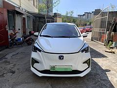 长安 奔奔 2020款 奔奔E-Star 心动版