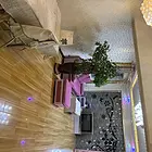 拎包入住，非诚勿扰