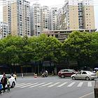 青阳南路消防队后身 高层新房出售 5 楼 84 m
