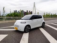【搞定了！】欧拉 白猫 2020款 401km 旗舰型