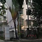 海南省金茂小区 普通住宅 中等装修吉卖