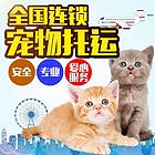 罗山宠物托运{猫狗长途搬家}活体快速邮寄2024安全快捷全国