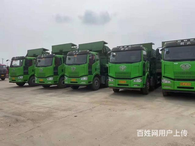 6台19年的法规解放，全年的保险带环保篷布，价不高的图片