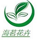安庆哪里有四季青草籽购销处