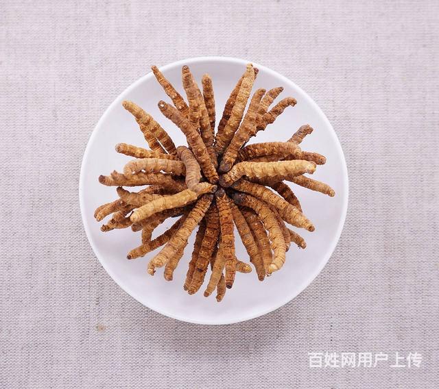 现在厦门回收冬虫夏草价钱是多少
