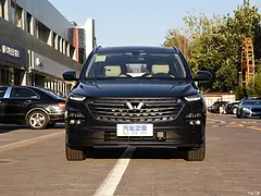 征信不好无视征信分期买车