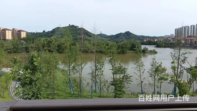 花语墅 湖景别墅亏几十万急售的图片