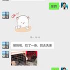 2022桐乡市宠物活体托运桐乡市宠物运输-陆运-空运-火车