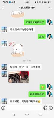 修武县宠物托运-修武县活体运输
