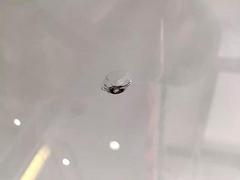 汽车挡风玻璃修复（可上门